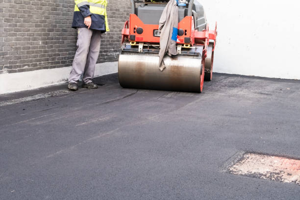 Best Driveway Overlay Services  in Golden Shores, AZ